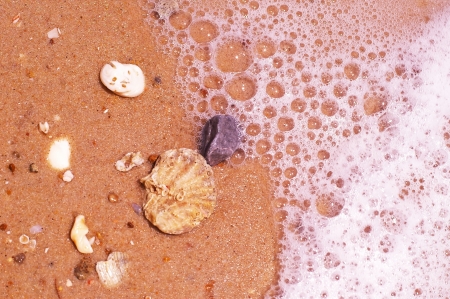 sea shell with bubble on the sand beachの写真素材