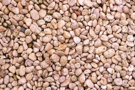white cobble texture on the floorの写真素材