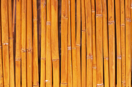 bamboo wood structure was use as the wallの写真素材