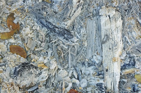 texture of ash after burning of wood