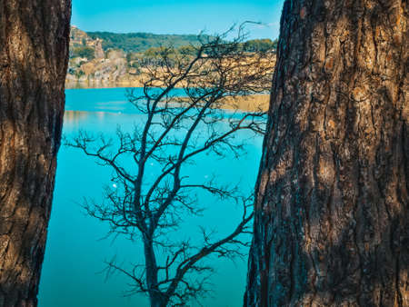 View of the Etang de l'Olivier lakeの写真素材