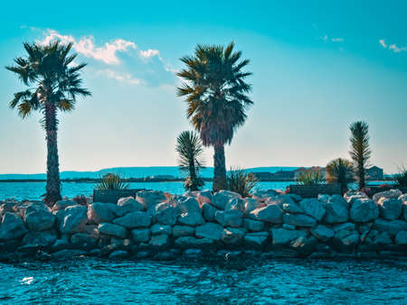 The entrance to the port by Albert Samson with palm trees