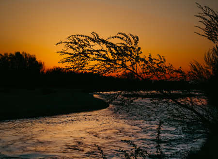 Colorful sunrise over the river with a fallen tree over the water