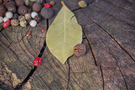 Bay leaves with the background of a walnut trunk along with pepper and allspiceの写真素材