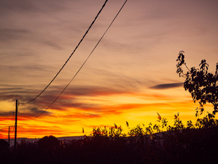 A colorful sunset near the flowing electricity lineの写真素材
