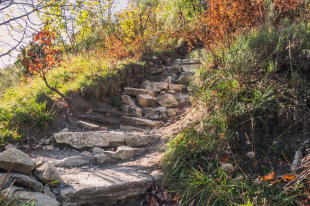 A beautiful mountain trail leading to the summit. Stone steps leading to the top of the Alps mountains in Franceの写真素材