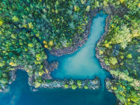 Aerial view of a forest lake. Aerial view of blue lake and green forests on a sunny summer day. Drone photography. Forest and lake border, Toned image from above.の写真素材