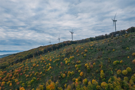 Turbine windmills for energy production. Renewable energy sources. Windmills situated on a hill overgrown with trees. Overlooking the surrounding mountains during autumnの写真素材