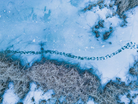 Panoramic aerial view of a frozen lake with animal footprints. Animal tracks on the frozen surface of the lakeの写真素材
