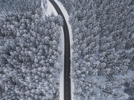 Snow-covered trees in the forest and asphalt road line in the mountains. Winter landscape in the mountains. Aerial drone panorama photo.の写真素材