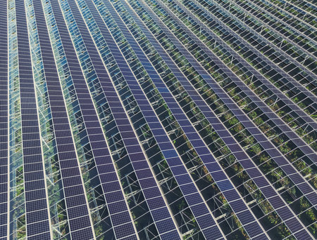 Greenhouse for growing vegetables with mounted photovoltaic panels