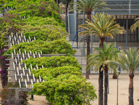 Garden with palm trees in Barcelona, Catalonia, Spain, Europeの写真素材