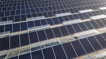 Sustainable greenhouse with rooftop solar panels bathed in morning sunlight for eco-friendly...