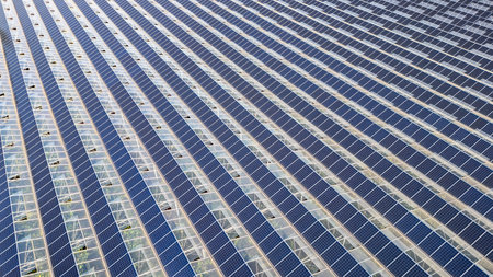Sustainable greenhouse with rooftop solar panels bathed in morning sunlight for eco-friendly...
