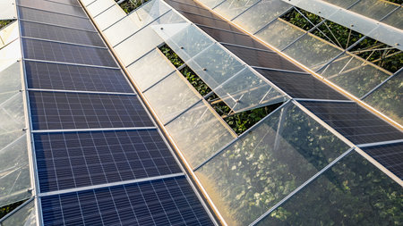 Sustainable greenhouse with rooftop solar panels bathed in morning sunlight for eco-friendly...