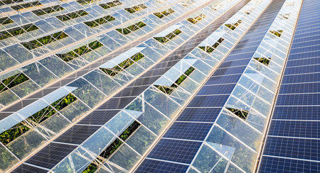 Sustainable greenhouse with rooftop solar panels bathed in morning sunlight for eco-friendly...