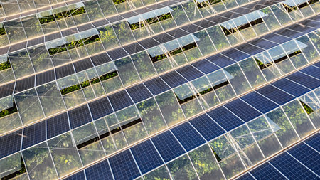 Sustainable greenhouse with rooftop solar panels bathed in morning sunlight for eco-friendly vegetable farming and renewable energy generation in a dual-use agricultural system.の写真素材