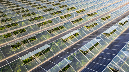 Sustainable greenhouse with rooftop solar panels bathed in morning sunlight for eco-friendly vegetable farming and renewable energy generation in a dual-use agricultural system.の写真素材