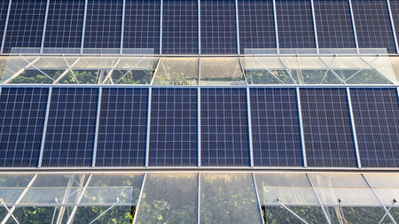 Sustainable greenhouse with rooftop solar panels bathed in morning sunlight for eco-friendly vegetable farming and renewable energy generation in a dual-use agricultural system.の写真素材