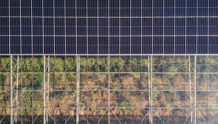 Aerial view of modern solar greenhouses with photovoltaic panels on roofs, renewable energy and sustainable farming conceptの写真素材