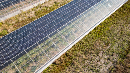 Aerial view of modern solar greenhouses with photovoltaic panels on roofs, renewable energy and...