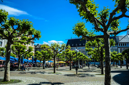 Trees square のeditorial素材