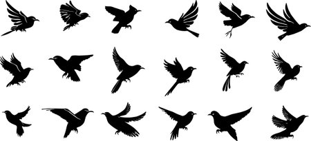 Set of birds silhouettes isolated on white background. Vector illustration.のイラスト素材