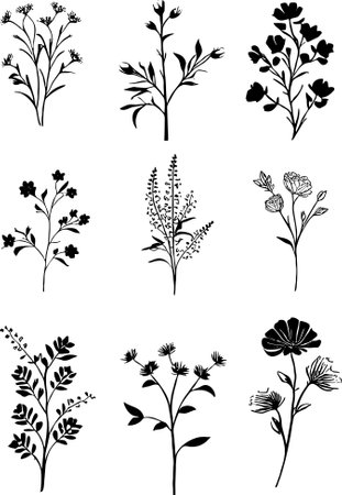Set of black silhouettes of wildflowers. Vector illustration.のイラスト素材