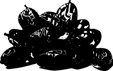 Dried fruits on a white background.Vector illustration ready for vinyl cutting.のイラスト素材