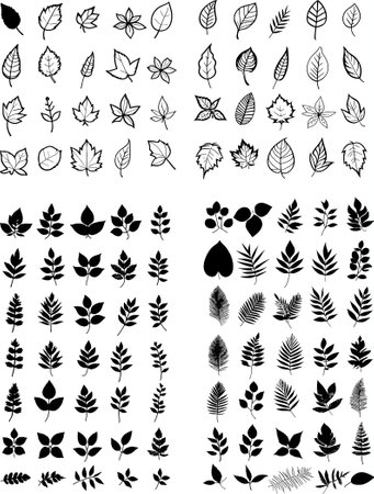 Set of black and white leaves silhouettes. Vector clip art.のイラスト素材