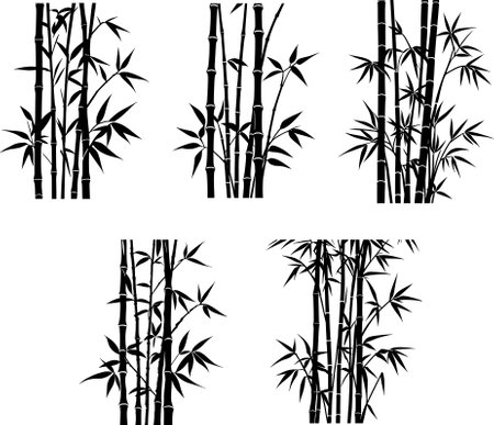 Bamboo silhouettes isolated on white background. Set of vector illustrations.のイラスト素材