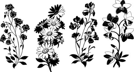 Illustration of black and white flowers on a white background - vectorのイラスト素材