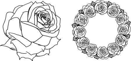Black and white roses. Vector illustration for coloring book or page.のイラスト素材