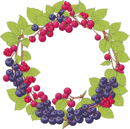 Wreath with black currant and blueberry on a white backgroundのイラスト素材