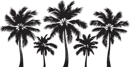 Silhouettes of palm trees on a white background. Vector illustration.のイラスト素材
