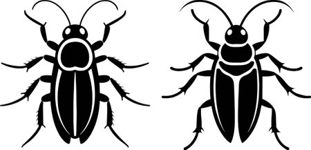 Cockroach Insects - Vector Illustration, Isolated On White Backgroundのイラスト素材