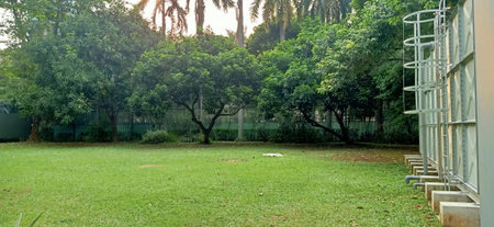 Green lawn in the park with trees and grass in the background.の写真素材