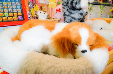 Sleepy puppet dog in thai marketの写真素材