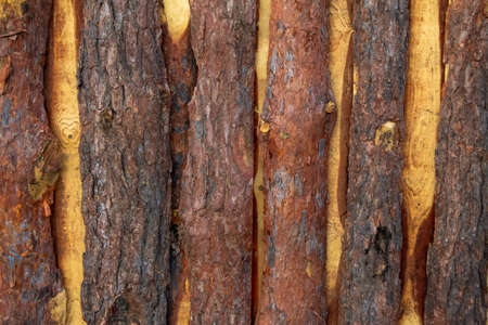 A fence made of untreated wooden planks. Bark of tree.