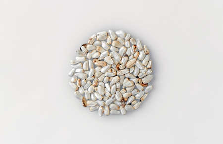 White safflower seeds. A sample of a batch of safflower seeds on a white picking board. Agriculture.の写真素材
