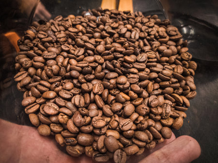 Roasted coffee beans in a transparent rounded ladle. Aromatic Arabica coffee.の写真素材