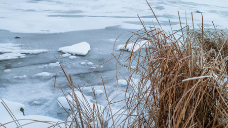 The yellowed reed leaves are covered with small ice crystals against the background of a reservoir covered with ice and snow. Winter landscape.の写真素材