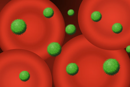 floating freely in the blood plasma between red blood cells.の写真素材