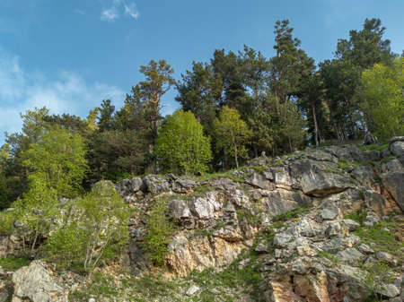 The facade is a steep cliff, with evergreen pines and deciduous trees growing on top. Stone wall....