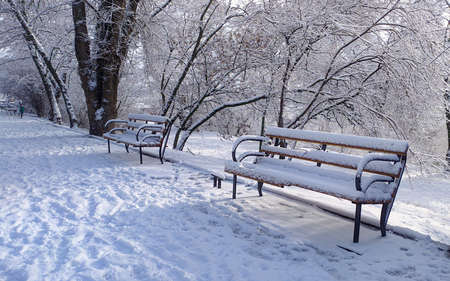 Benches in the park covered with snow. Winter park after snowfall.の写真素材