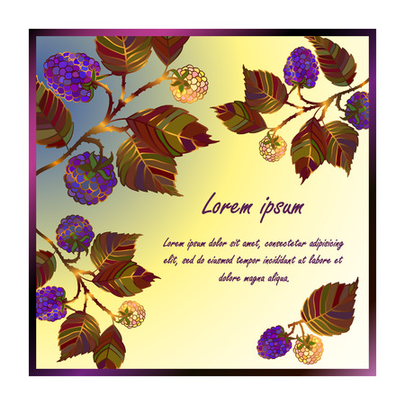 Vector vintage frame with Vector colored bramble frame. Summer template card. Save the date illustration. Vector sunrise sunset template with berries.のイラスト素材