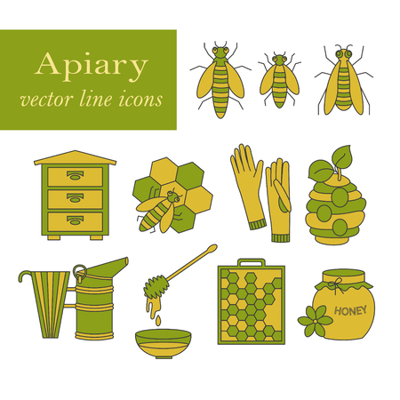 Apiary vector colored thin line icons set. Sweet honey, natural honeycomb, beehive, wax, honeycomb, and other apiary equipment signs.のイラスト素材
