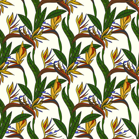 Pattern with strelitzia flowers.のイラスト素材