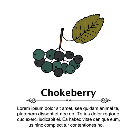 Handdrawn vector doodle logo.のイラスト素材