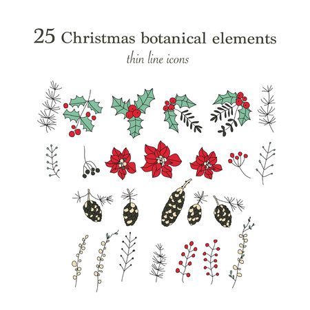 Set of 25 Christmas botanical symbols. Thin line vector icons. Xmas outline illustrations.のイラスト素材